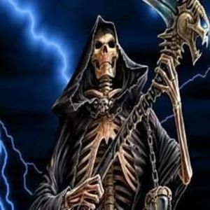 Meet your Posher, Larry